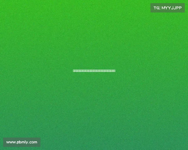 全球最新格斗巅峰赛事热血对决荣耀启程引领世界格斗新风潮